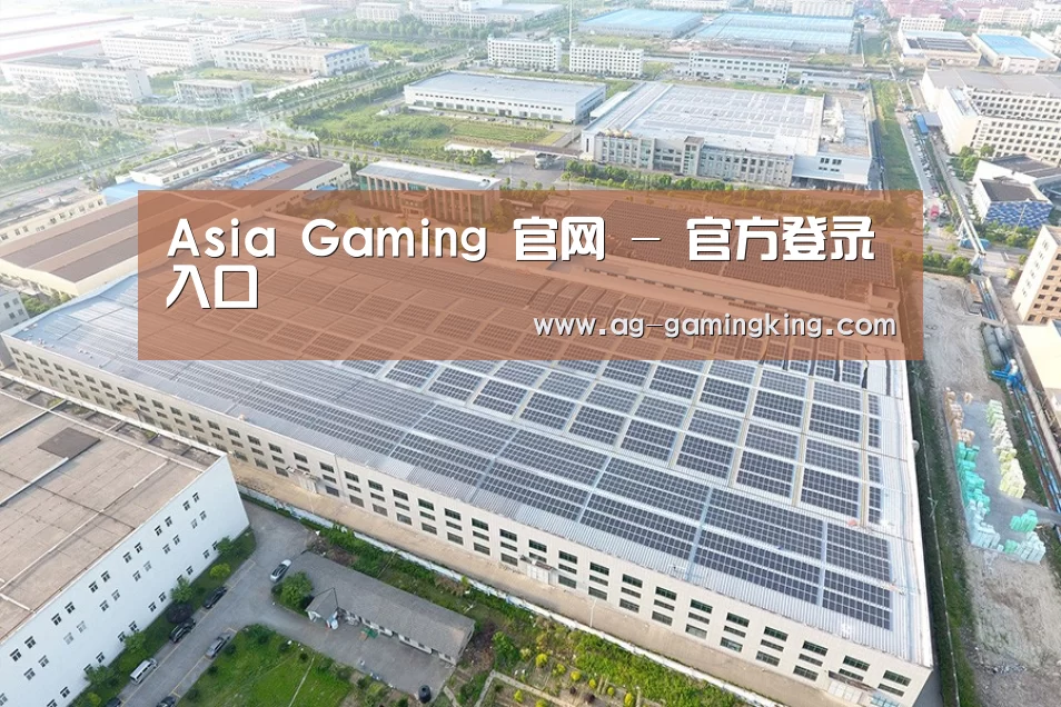 案例展示一