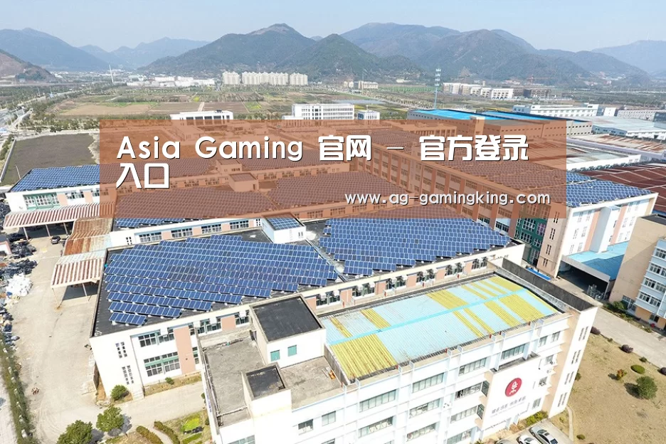 案例展示二