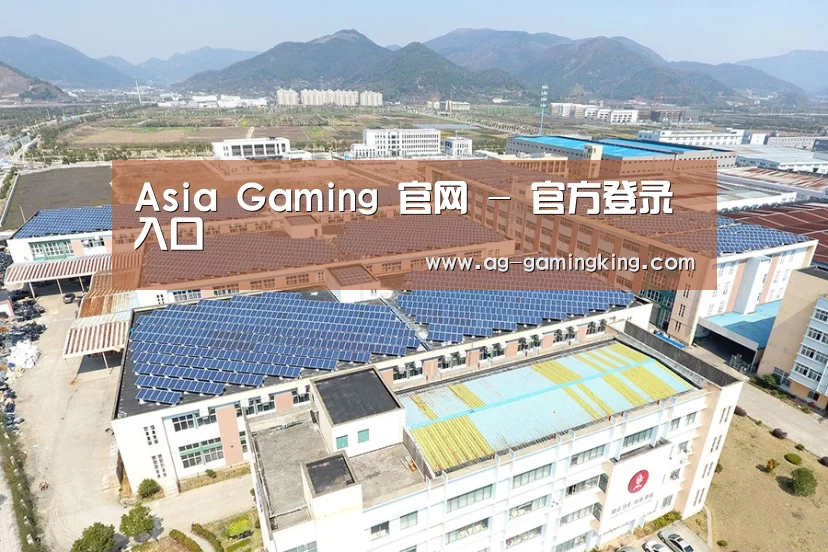 案例展示一