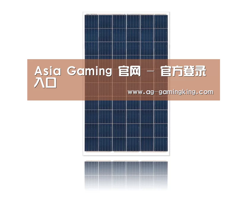 产品名称一