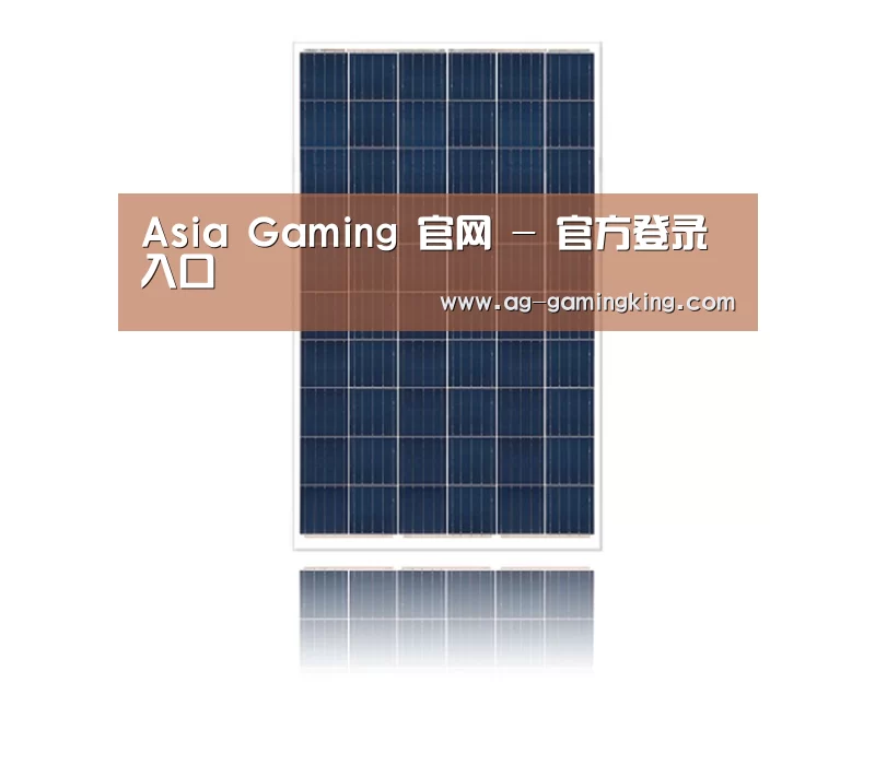 产品名称一