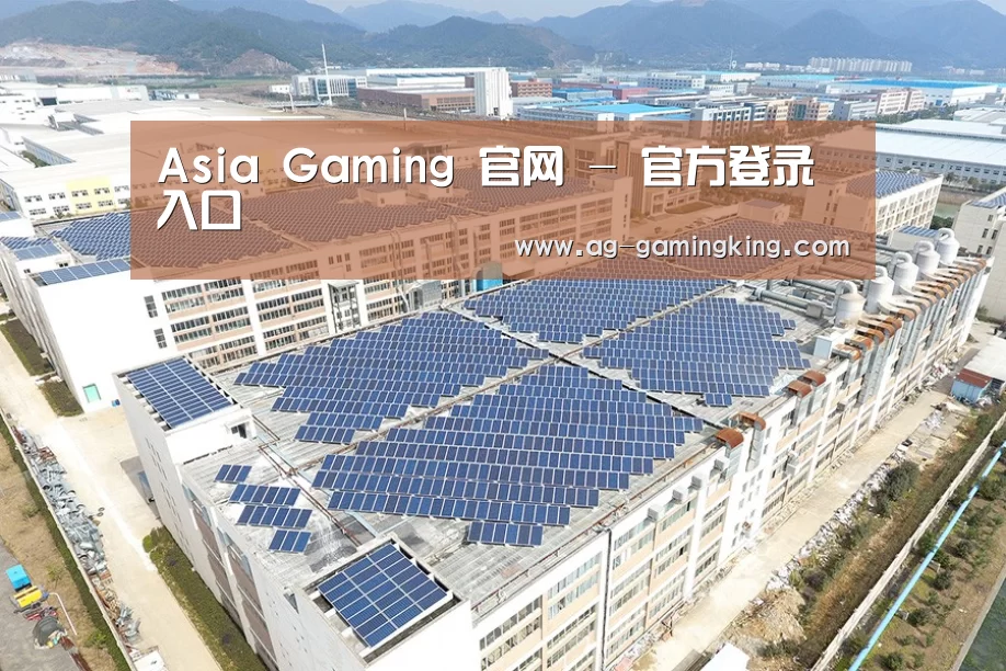 案例展示三