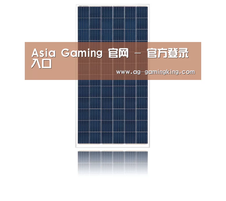 产品名称一