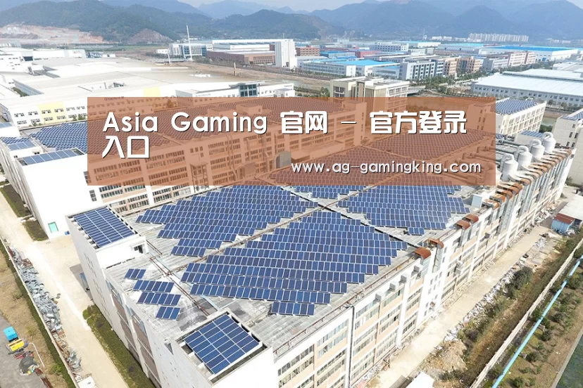 案例展示四