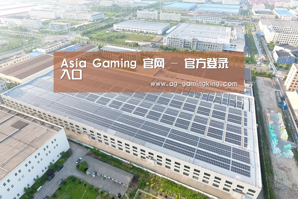 案例展示二