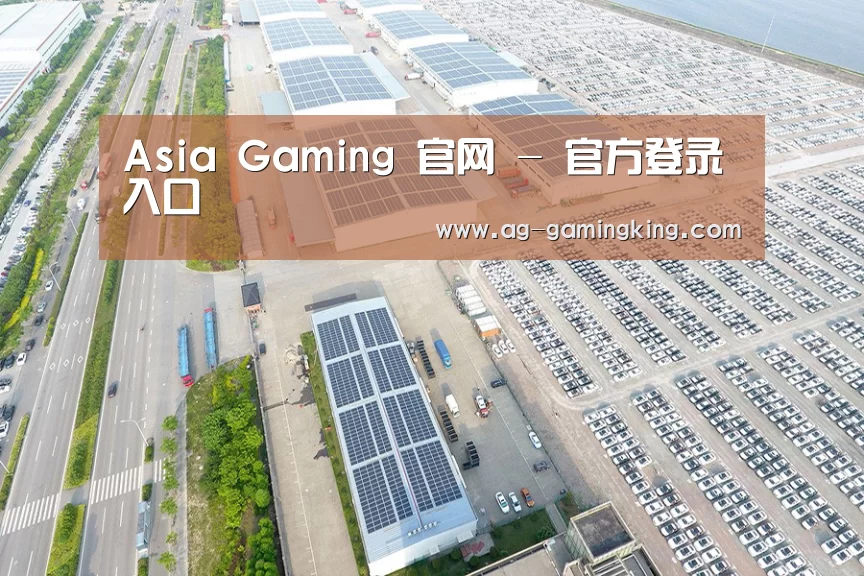 案例展示一