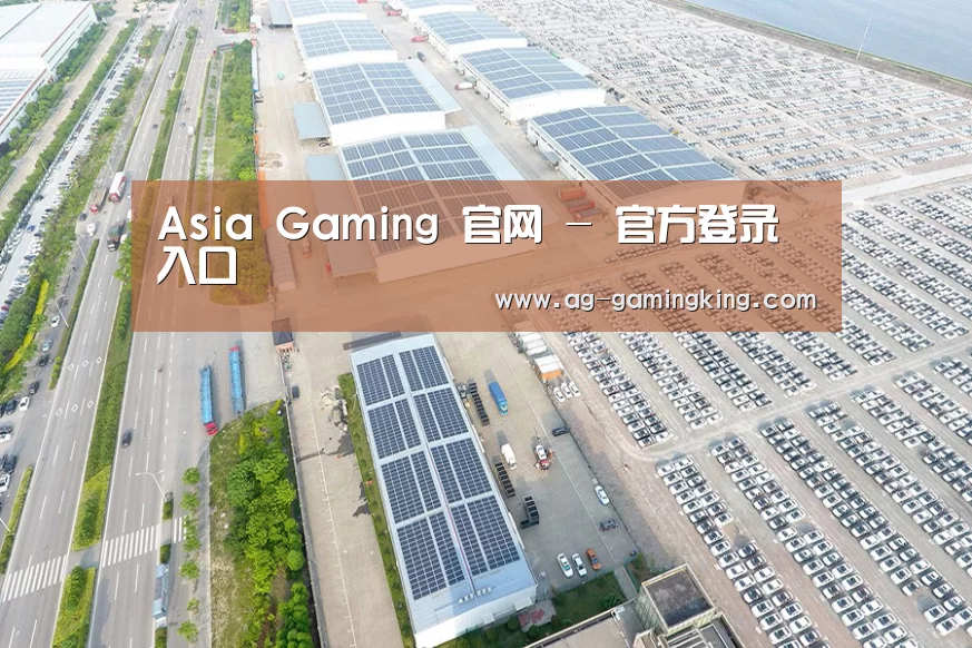 案例展示一