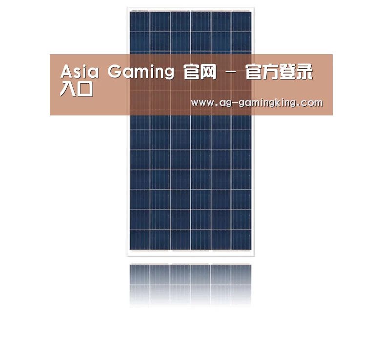产品名称一