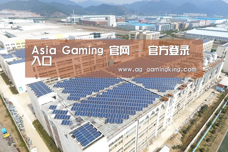 案例展示四
