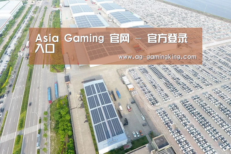 案例展示二