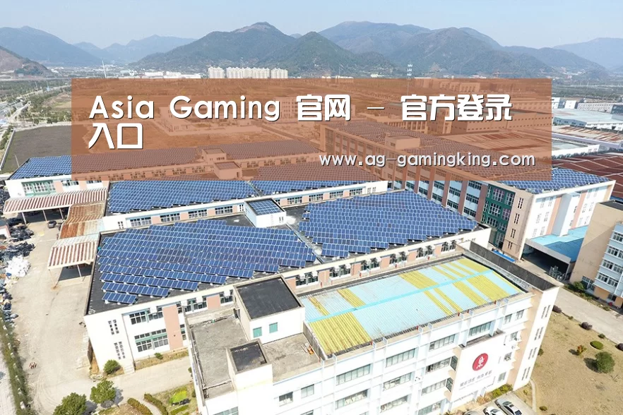 案例展示三
