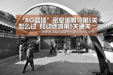 AG篮球