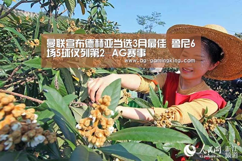 AG篮球