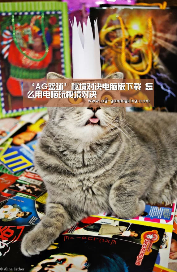AG篮球