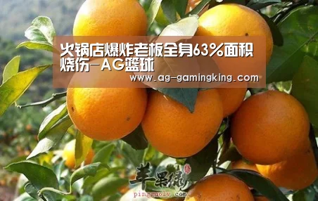 火锅店爆炸老板全身63%面积烧伤-AG篮球(图1) AG官网