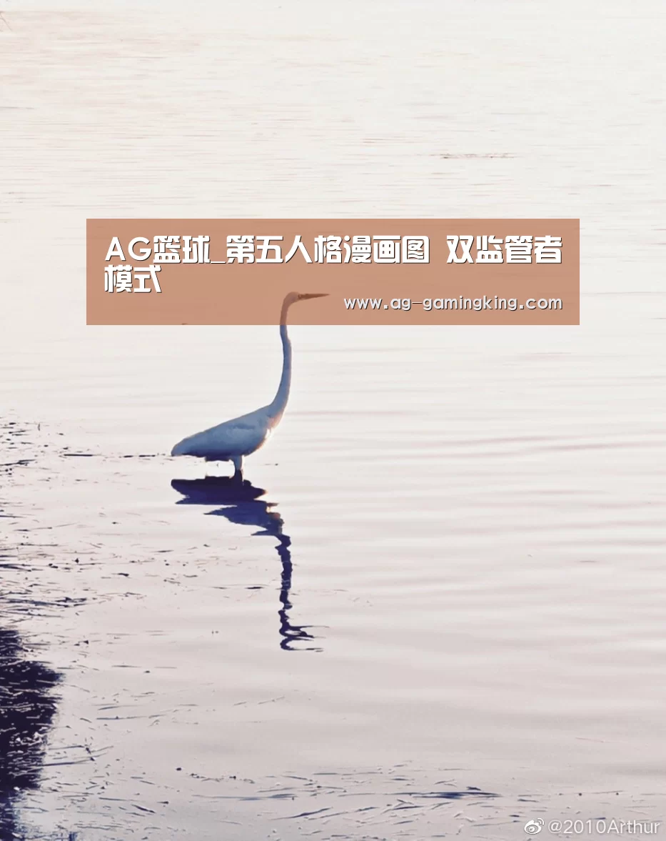 AG篮球